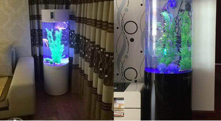 魚缸智能家居應用,魚缸物聯網方案,智能魚缸開發(fā)